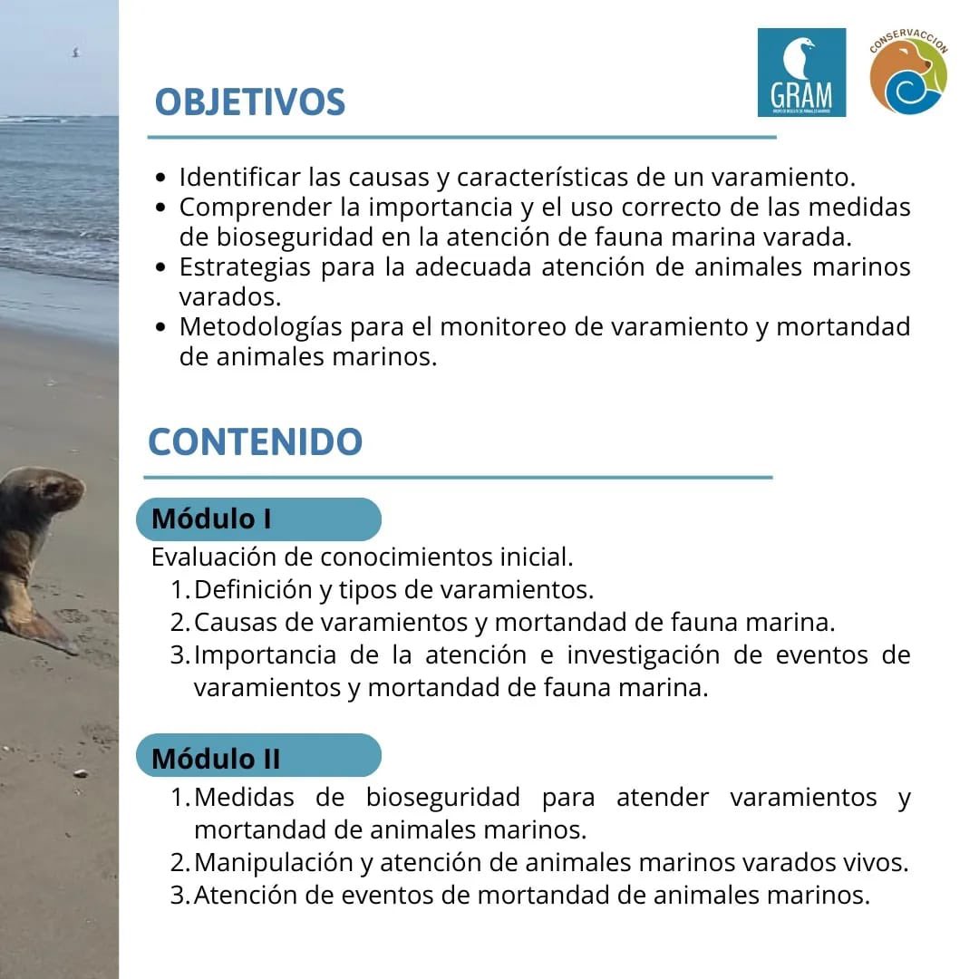 conservaccionpe's tweet photo. #cursos2025 | Curso Teórico-Práctico: 
Monitoreo y respuesta ante varamientos y mortandad de fauna marina.

Inscríbete ahora en el enlace ➡ https://t.co/Nf4wdWpSR0

Las clases virtuales se llevarán a cabo los días 9 y 10, y la presencial el 11 de enero del 2025. https://t.co/hcT2cu6AGo