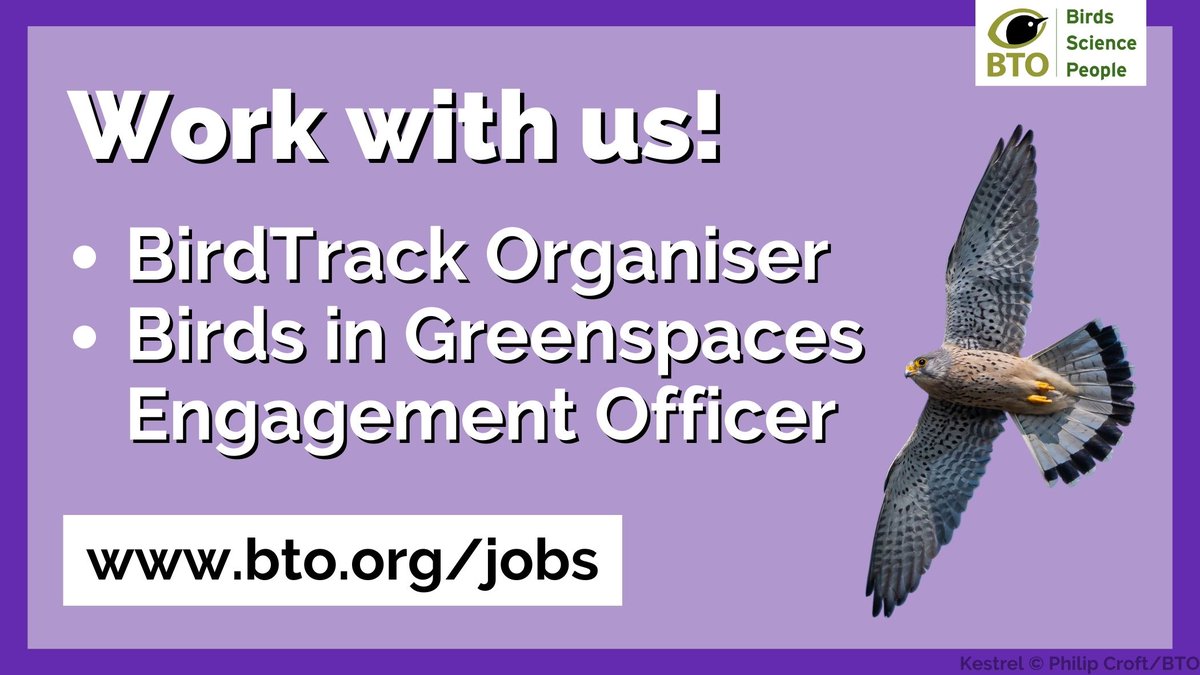 Job alerts! 📢 We’re looking for a <a href="/BirdTrack/">BirdTrack</a> Organiser and a Birds in Greenspaces Engagement Officer to join our team. 🐦 Find out more and apply ➡️ bto.org/jobs

#ConservationJobs #ConservationCareers #Ornithology