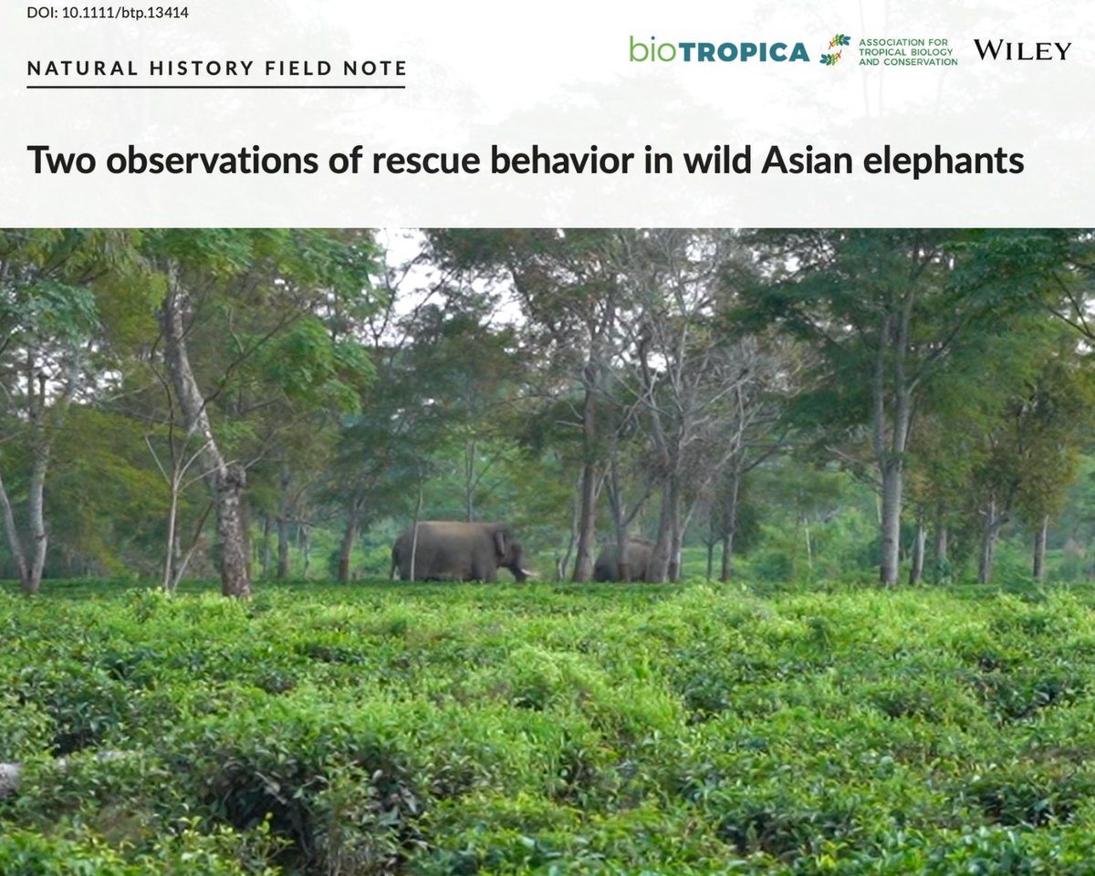 Arjun Kamdar tweet media