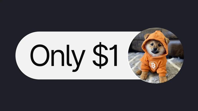 $DOG is clearly being held down
Probably not out of hate, more out of belief
There is buying going on behind the scenes
There are orders being placed
CEXs are quietly accumulating
Big things are coming
$DOG to 1$ and beyond
Like $ RT if you agree