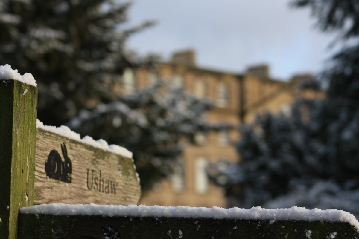 ushawdurham's tweet image. ‘Tis the season to be freezin’ 🥶

Here’s some wintery snaps to bring in the season! 📷

#CoDurham #Durham #WinterSolstice #Winter