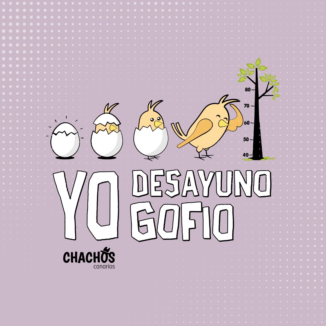 ¿Son sus primeros Reyes y aún no puede escribir su carta? Pues corre a mirar todas las ideas que tenemos en chachoscanarios.com
.
#Bodyscanarios #Regalosoriginales #Bodysdebebé #RegaloCanario #regaloscanarios #Pelelecanario