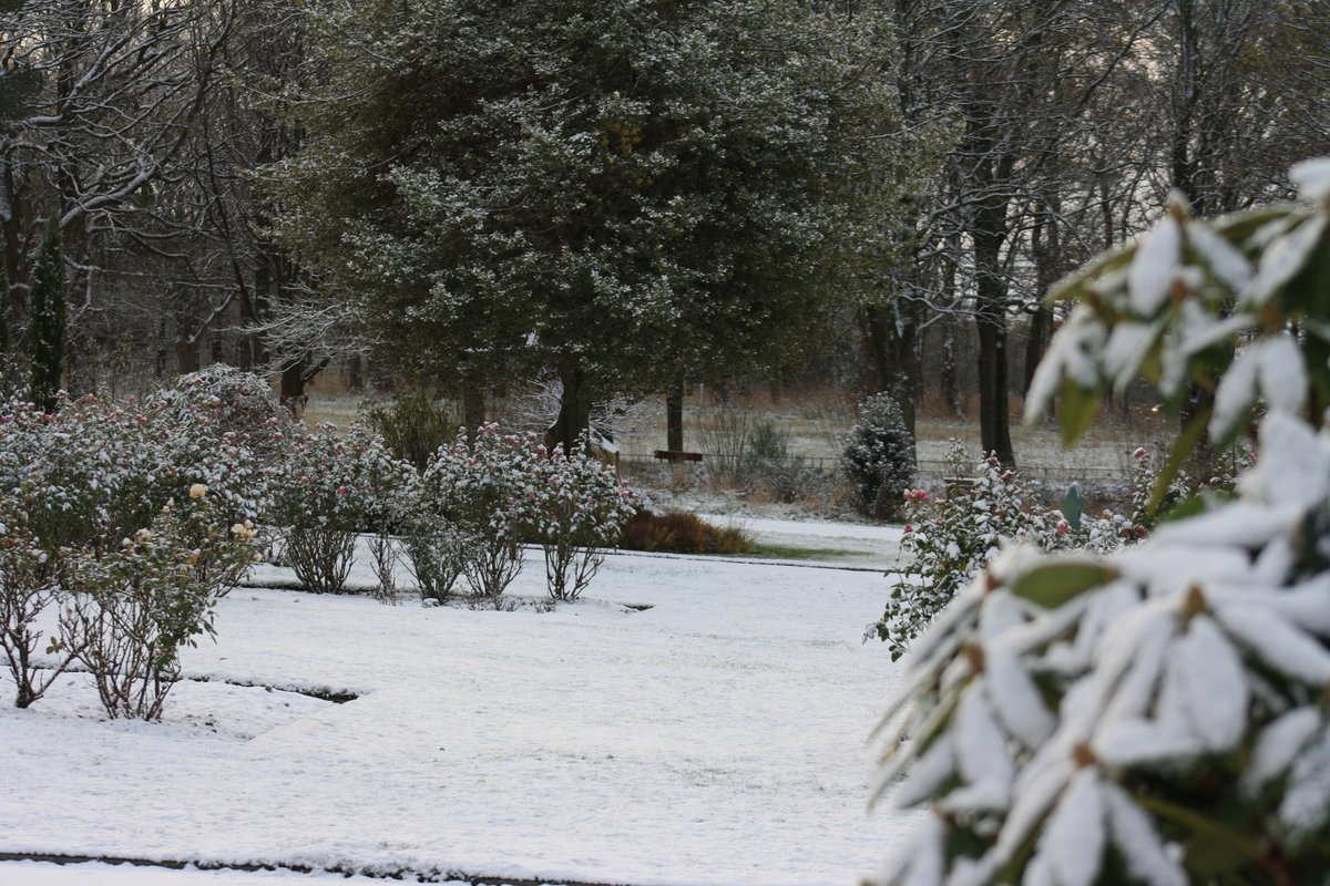 ushawdurham's tweet image. ‘Tis the season to be freezin’ 🥶

Here’s some wintery snaps to bring in the season! 📷

#CoDurham #Durham #WinterSolstice #Winter