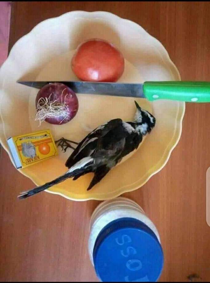 Don't do this at home. Ah ah
Bring your fine self to Feels94 chopbar let us treat you like the royalty you are.
Enter feels94 on your map. You can call 0504976470