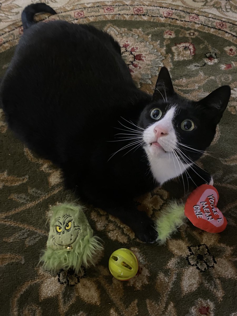 TheSweetLifeof5's tweet photo. The sweetest Grinch around! ❤️💚 https://t.co/BeiLuEuiN8