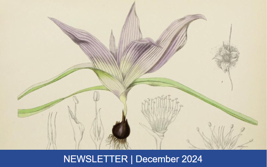 BioDivLibrary's tweet photo. Our latest newsletter is now available! From collaborative transcription projects to a new Wikimedian-in-Residence, don’t miss the latest news from #BHLib! ➡️ https://t.co/F8QCpddYGX https://t.co/87RB6BiD2y