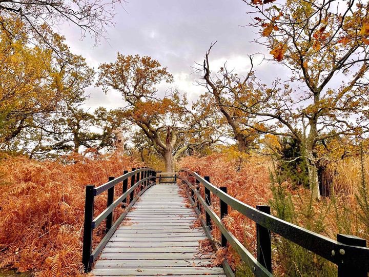 We are seeking a proactive and highly organised Admin Team Leader to join our staff team. 
The ideal candidate will deliver essential clerical and administrative support as well as leading on admissions at the college and <a href="/_VictoriaSchool/">Shaftesbury Victoria School</a>  
Apply: jobtrain.co.uk/shaftesbury/Jo… #hiring