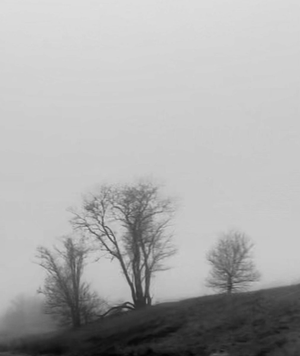 eadams_eadams's tweet image. some days the threshold 
crashes into my face

a challenge to cross 
when it&apos;s stuck in teeth 

sucking in chaos 
&amp;amp; everyone&apos;s strife
i pull some splinters 
from my eyes
and sigh, bring on the day

but my soul longs for peace 

#vss365 #threshold #challenge