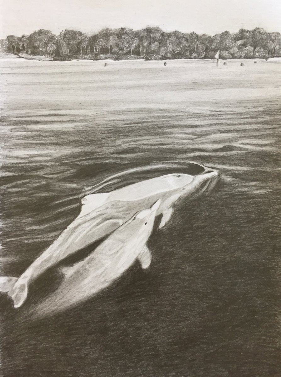 ABCWelfare tweet media