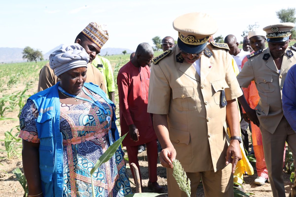 RefugeesCmr's tweet image. 6️⃣5️⃣.5️⃣ tonnes de riz récoltées !
 
Grâce à un terrain de1️⃣5️⃣1️⃣hectares offert par le gouvernement🇨🇲, les #réfugiés et la communauté de Mayo Laddé ont fait la première récolte et la culture du sorgho continue pour renforcer les #SolutionDurables des déplacées de force.