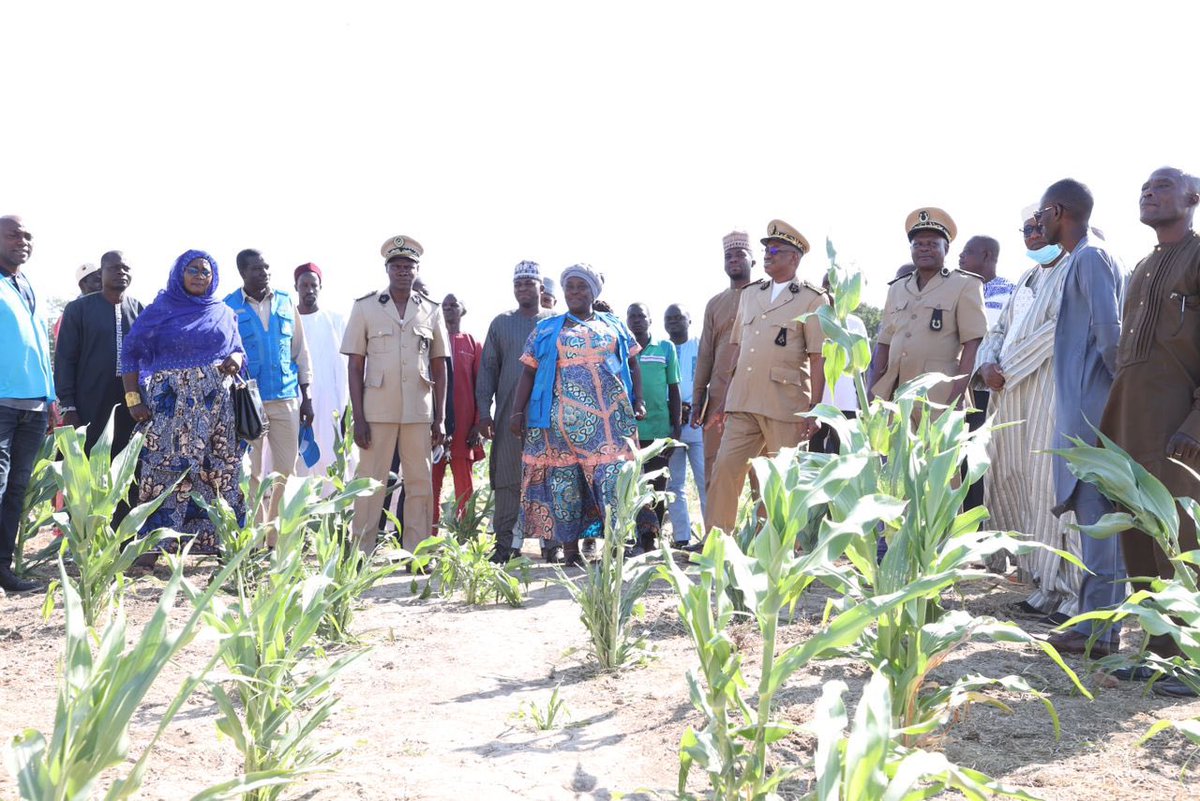 RefugeesCmr's tweet image. 6️⃣5️⃣.5️⃣ tonnes de riz récoltées !
 
Grâce à un terrain de1️⃣5️⃣1️⃣hectares offert par le gouvernement🇨🇲, les #réfugiés et la communauté de Mayo Laddé ont fait la première récolte et la culture du sorgho continue pour renforcer les #SolutionDurables des déplacées de force.