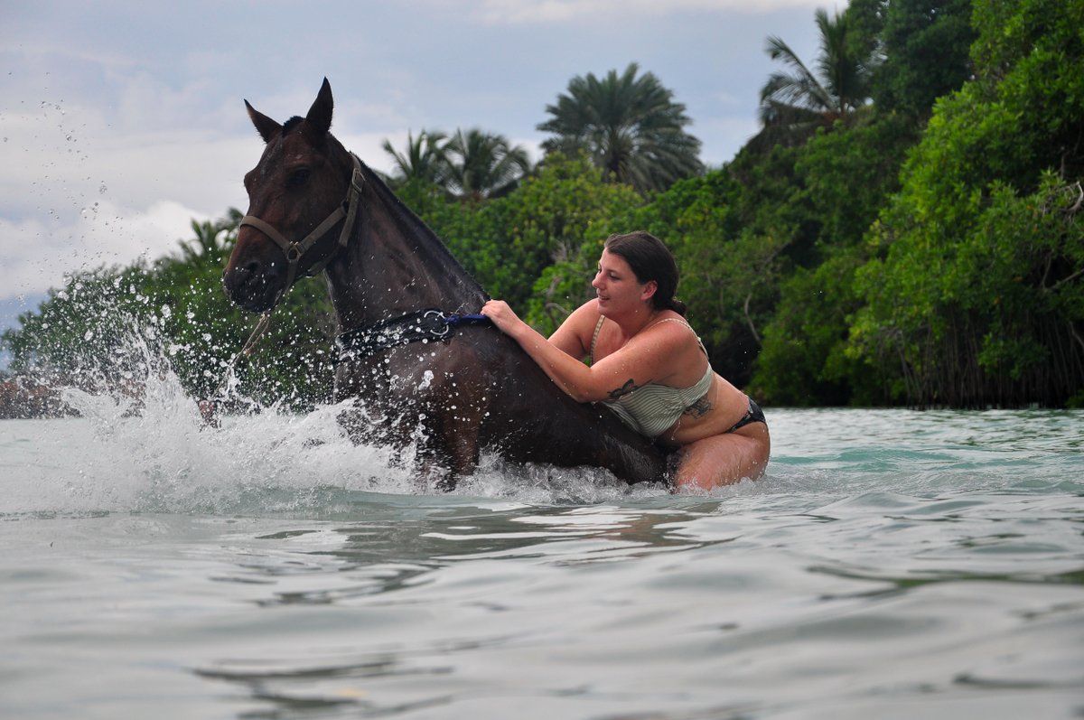 🌊🐴 Experience the Magic of Swimming with Horses 

Have you ever dreamed of a unique and unforgettable adventure? Imagine swimming alongside a horse in crystal-clear waters, surrounded by breathtaking landscapes and creating a special connection with nature. 💙