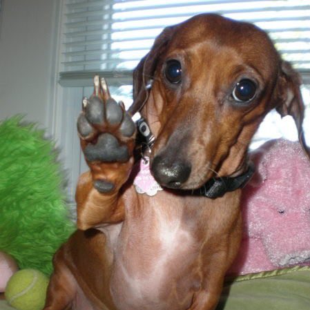 <a href="/teamoboanoite/">vivi ˙ᵕ˙</a> pra inveja é tchau