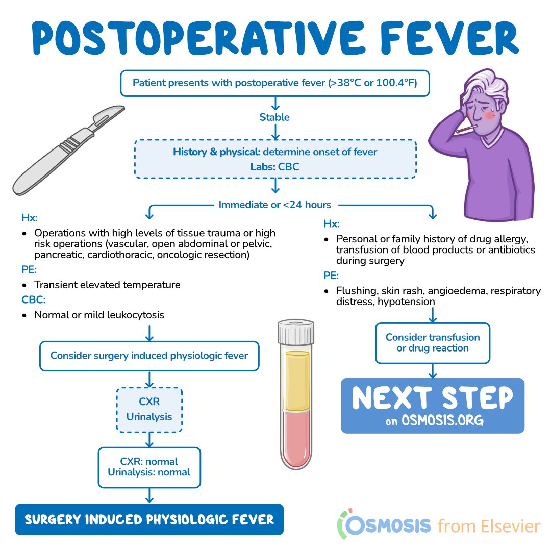 OsmosisMed's tweet photo. Today's #DecisionTreeBranch is about #PostoperativeFever, which is defined as a systemic body temperature ≥ 38°C or 100.4°F within the postoperative period.
Learn more: https://t.co/XTLMh47Akz
Get a free trial of Osmosis from Elsevier: https://t.co/8xMe6PpK8X https://t.co/FQFArQaXyl