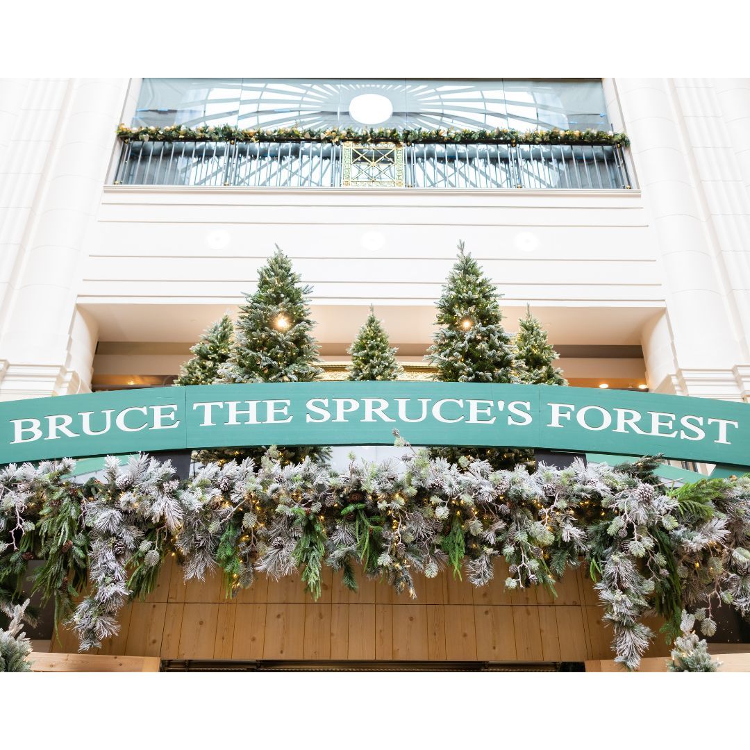 TowerCityCLE's tweet photo. Come to the enchanted forest and meet Bruce the Spruce for a day full of family fun! π
Join us on Saturdays from 11 AM - 7 PM or Sundays from 12 PM - 5 PM for crafts, musical activities, and our one-of-a-kind snow experience
#towercity #brucethespruce #holidays #clevelandohio https://t.co/eCZkI4jZjR