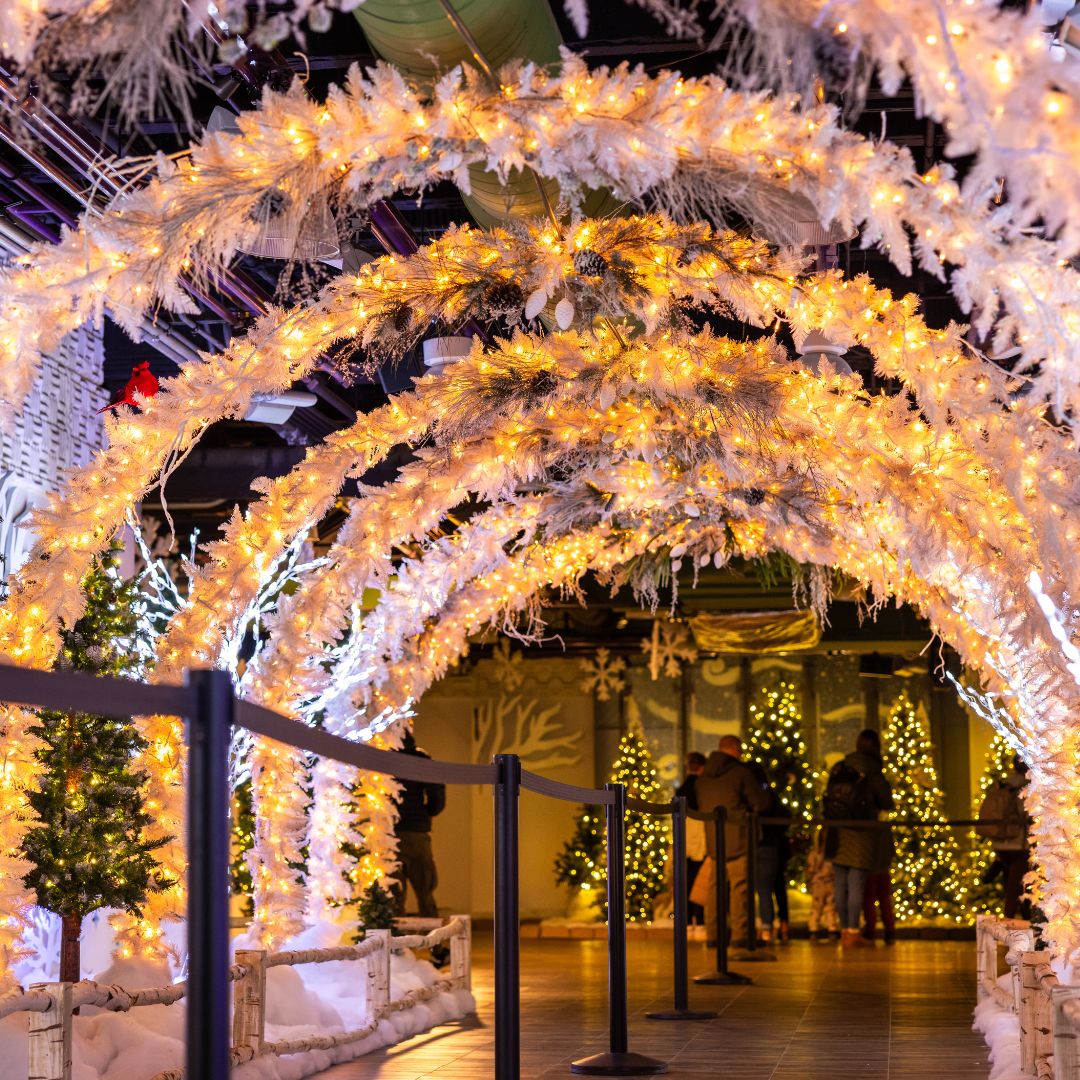 TowerCityCLE's tweet photo. Come to the enchanted forest and meet Bruce the Spruce for a day full of family fun! π
Join us on Saturdays from 11 AM - 7 PM or Sundays from 12 PM - 5 PM for crafts, musical activities, and our one-of-a-kind snow experience
#towercity #brucethespruce #holidays #clevelandohio https://t.co/eCZkI4jZjR