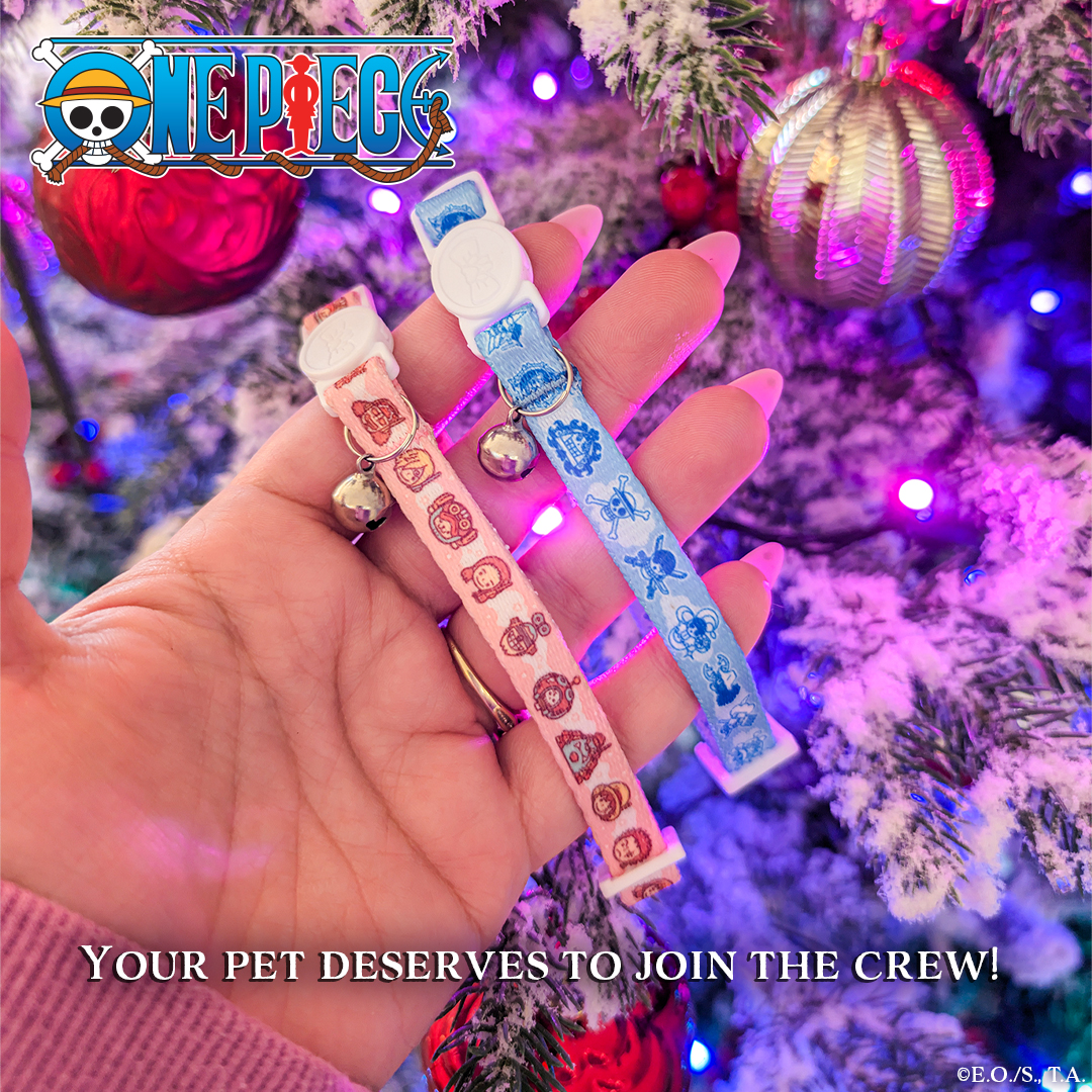 Pawsonify's tweet photo. 🎄 Upgrade your crew’s style this Christmas! 🐾 From New World to Egghead, these One Piece collars are perfect for your nakama. 🎁✨
Shop here 👉 https://t.co/AbQcOxdgnL
#OnePiecePets #Pawsonify https://t.co/fWzSzp5fcp