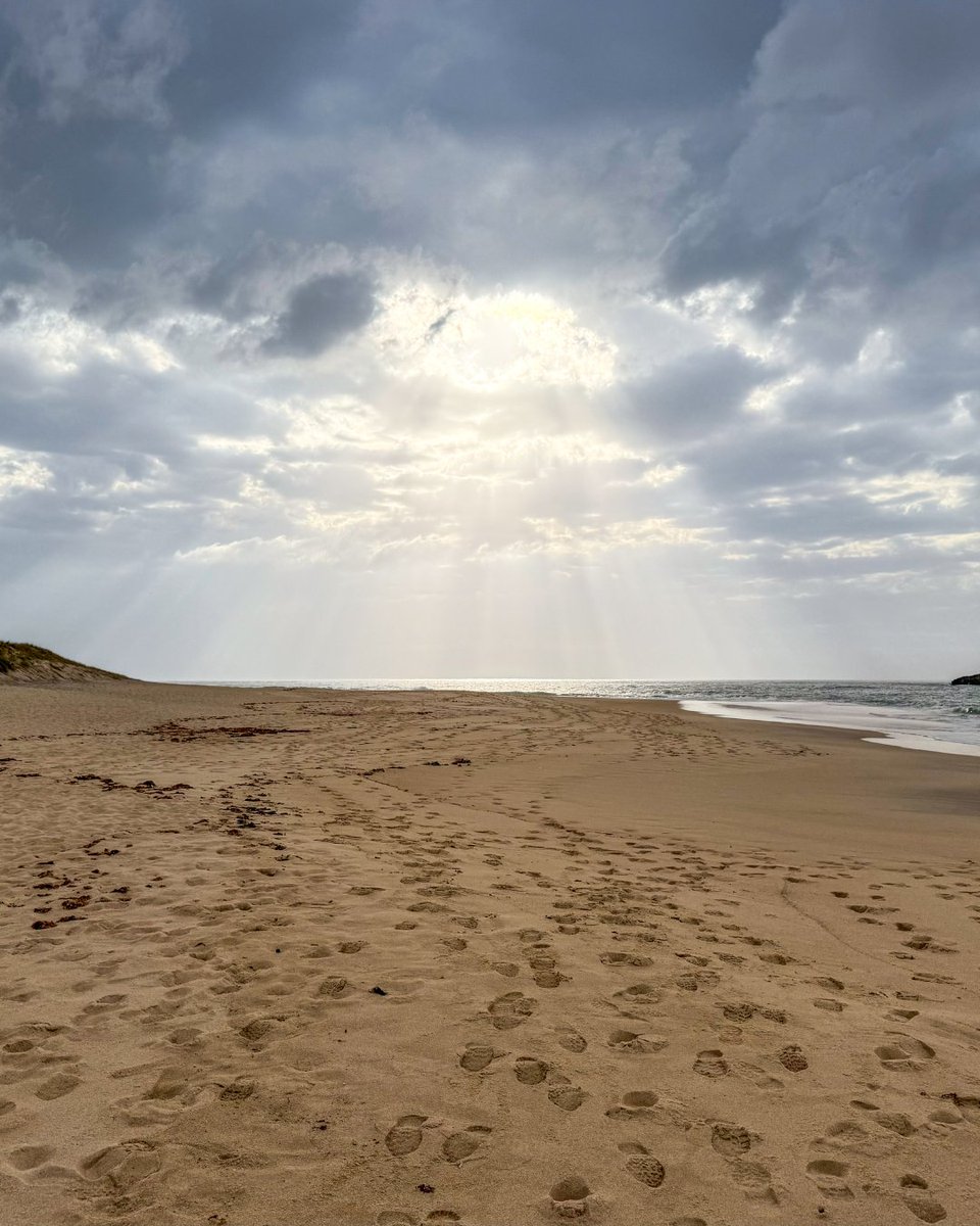 Trek Travel tweet media