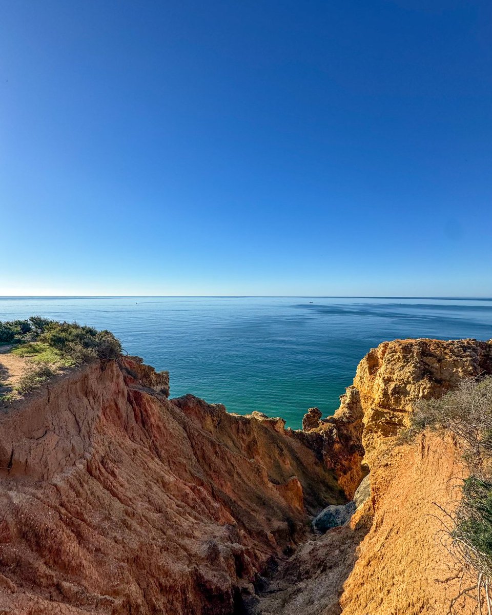 Trek Travel tweet media