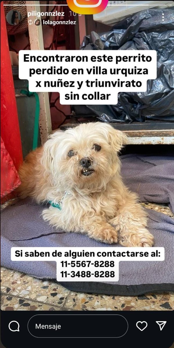 patripeyrou's tweet photo. Difundimos https://t.co/vGJ5ETIOGz