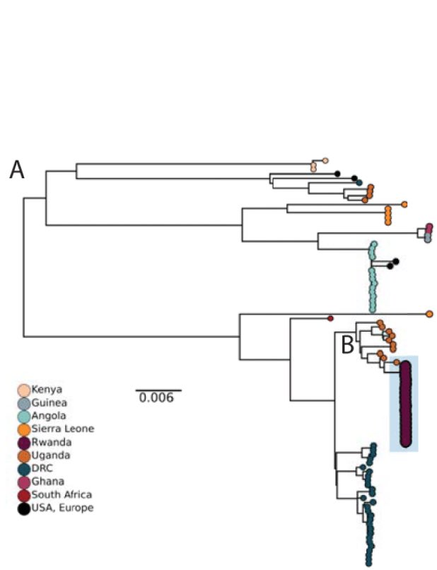 Yvan Butera tweet media