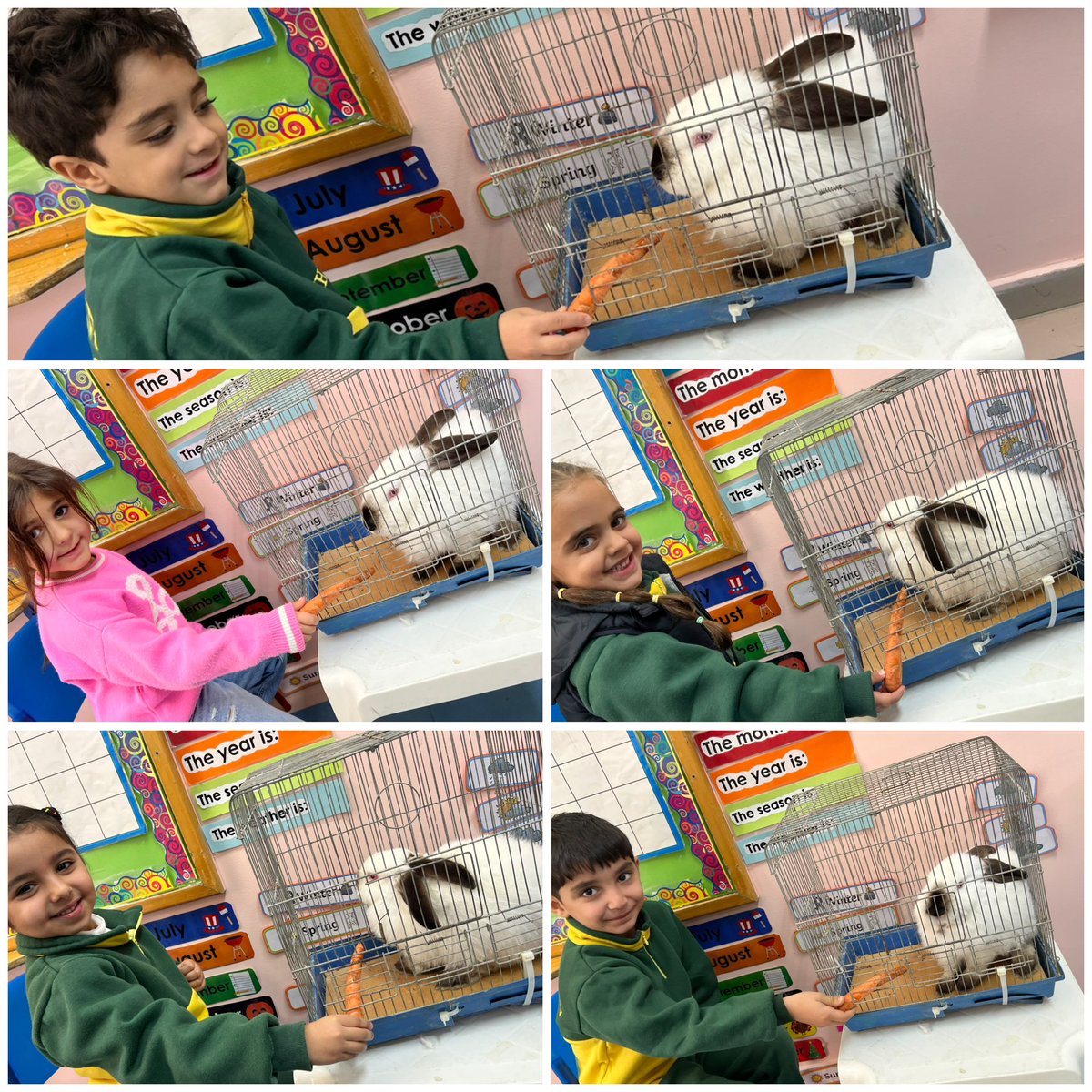 Doha Awad (@dohahawad) on Twitter photo Today, KG3 C learners kicked off the new unit of inquiry “Living Things” by exploring the differences between a living and a non-living rabbit. They also had the opportunity to feed the living rabbit, making it a memorable beginning to their inquiry. <a href="/sashgh/">Sasha Ghosn</a> <a href="/Hhhsinfo/">Houssam Hariri HS</a> Today, KG3 C learners kicked off the new unit of inquiry “Living Things” by exploring the differences between a living and a non-living rabbit. They also had the opportunity to feed the living rabbit, making it a memorable beginning to their inquiry. <a href="/sashgh/">Sasha Ghosn</a> <a href="/Hhhsinfo/">Houssam Hariri HS</a>