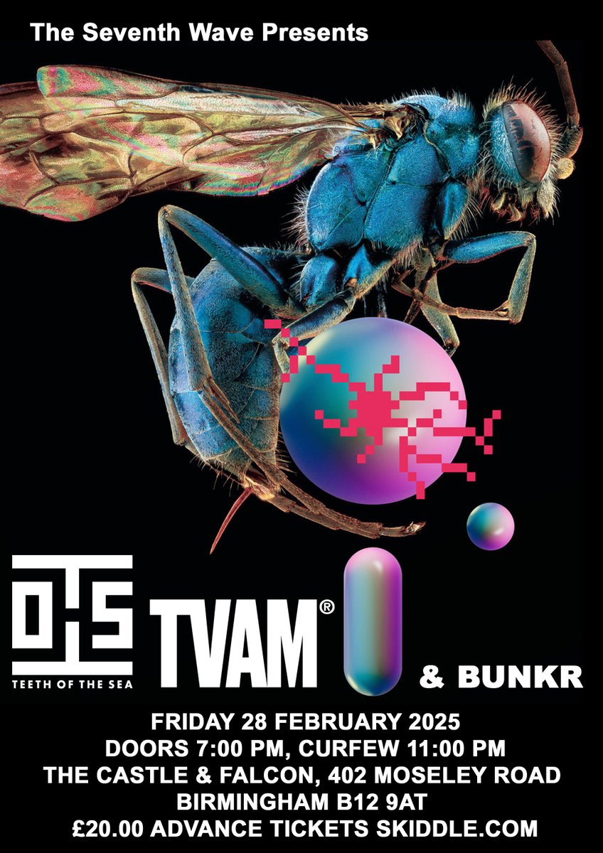 Chris Wave (@seventhwavebham) on Twitter photo <a href="/seventhwavebham/">Chris Wave</a> Looking forward to 2025...
Teeth Of The Sea , TVAM, BUNKR - amazing line up this! Tickets on sale now! skiddle.com/g/theseventhwa…
<a href="/CastleandFalcon/">The Castle & Falcon</a> #TOTS <a href="/_tvam/">TVAM</a> <a href="/BUNKR303/">BUNKR</a>
<a href="/invadarecordsUK/">Invada Records UK</a> <a href="/RocketRecording/">Rocket Recordings</a> <a href="/VLSIRecords/">VLSI Records</a> <a href="/seventhwavebham/">Chris Wave</a> Looking forward to 2025...
Teeth Of The Sea , TVAM, BUNKR - amazing line up this! Tickets on sale now! skiddle.com/g/theseventhwa…
<a href="/CastleandFalcon/">The Castle & Falcon</a> #TOTS <a href="/_tvam/">TVAM</a> <a href="/BUNKR303/">BUNKR</a>
<a href="/invadarecordsUK/">Invada Records UK</a> <a href="/RocketRecording/">Rocket Recordings</a> <a href="/VLSIRecords/">VLSI Records</a>