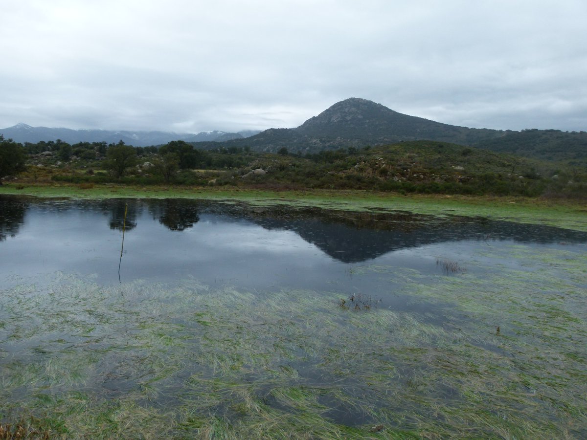 ponds4climate's tweet photo. The #PONDERFUL decision support tool is now live!

Using different land use and climate change scenarios, this online tool will predict a project's future benefits for biodiversity and climate change adaptation &amp; mitigation.

Use the tool for your project: https://t.co/kmUvyBsYC5 https://t.co/VNHD835D20