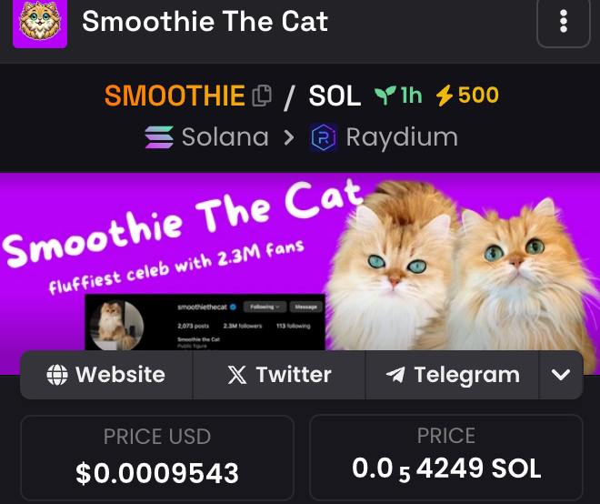 Smoothie The Cat tweet media
