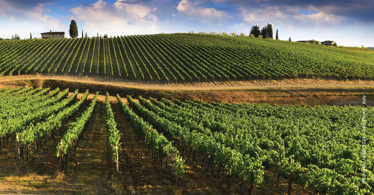 Christophe Hansen tweet media