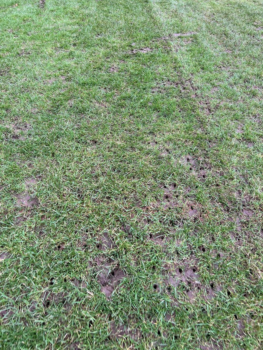 Aeration carried out for <a href="/WestKilbrdeAFC/">West Kilbride AFC</a> game played over weekend good time to get plenty holes into surface which will help improve drainage, reduce soil compaction and enhanced root growth.