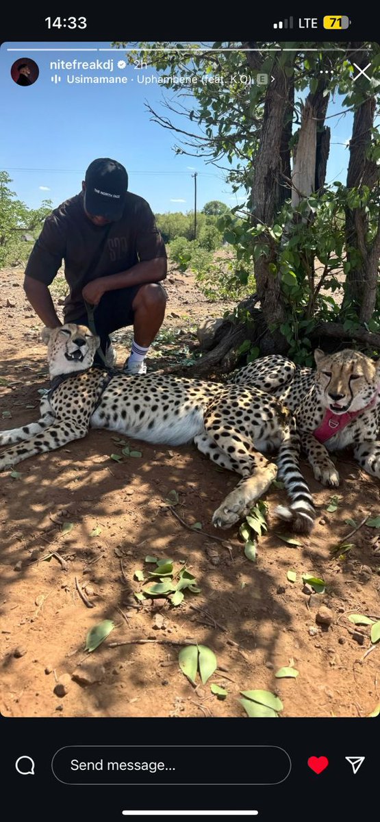 Guess who paid us a visit?