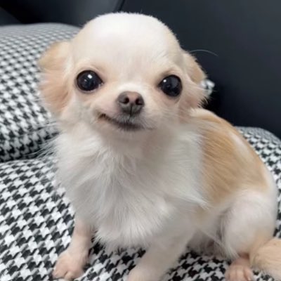 lmbc_17's tweet photo. #NuevaFotoDePerfil https://t.co/IR4gF2NL9K