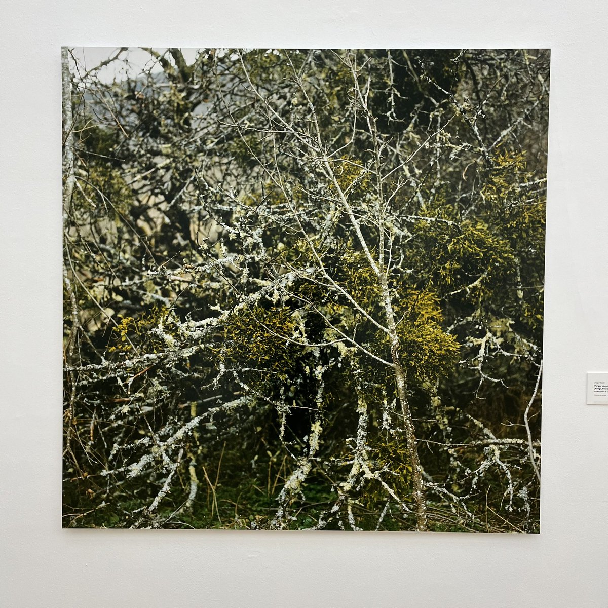 Chaap du Collège Makeba—Lille tweet media