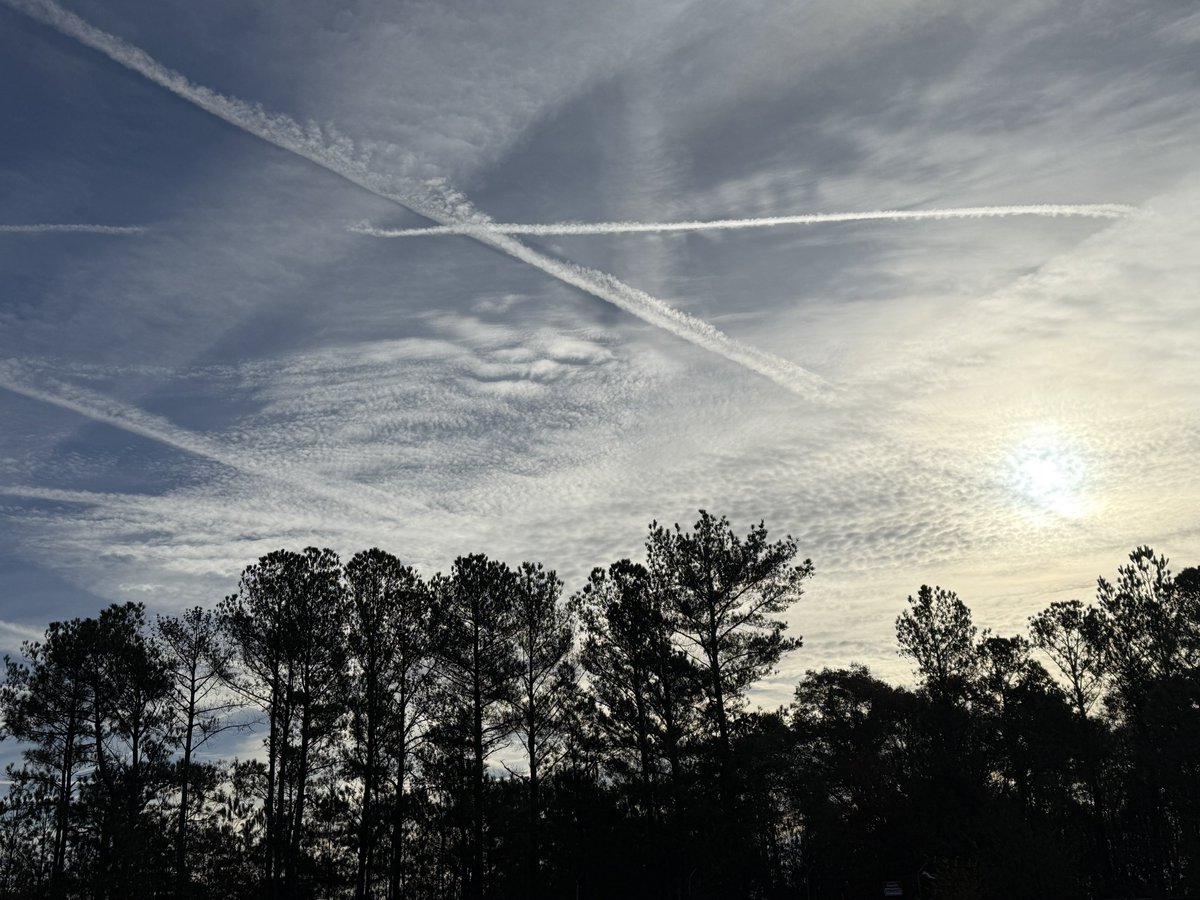 Pieter Ibelings tweet media