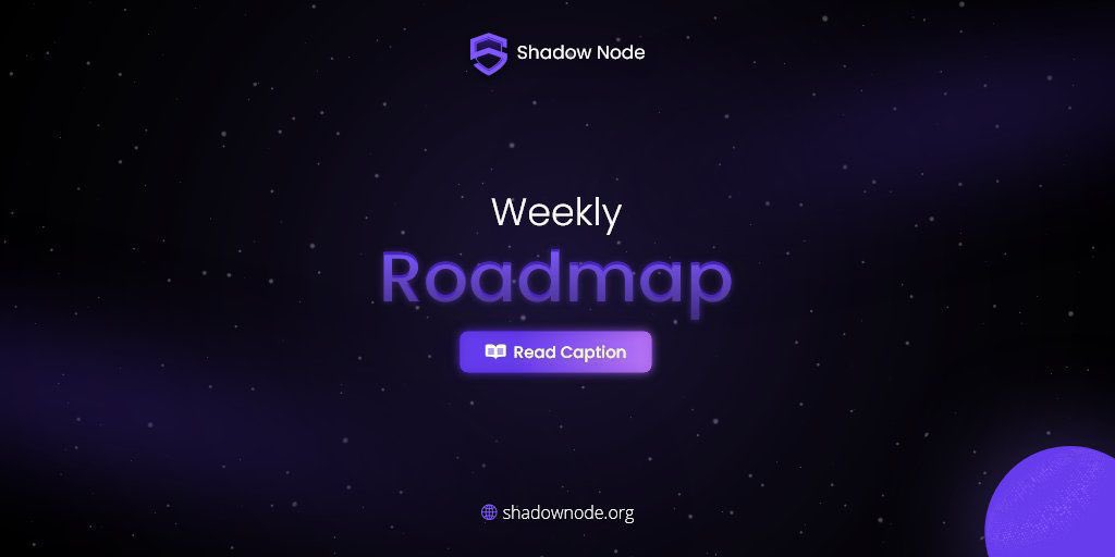 Achievements (Last Two Weeks)

ShadowRay Videos Released
-Launched two videos for ShadowRay: a teaser and a detailed explanation of its use case.
Video on Restricted Content Access
-Conducted in-house testing of fiat integration.
-Published a video demonstrating how ShadowNode