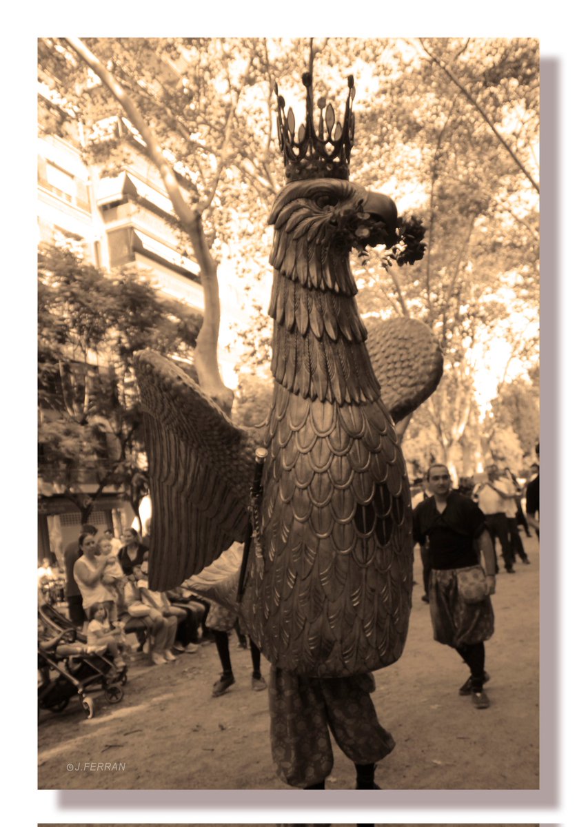 Fotografia de Juan Ferran
Festes de Misericòrdia 2024

#AligaDeReus #AligaDeCatalunya #AliguesDeCatalunya #AliguesDelsPaisosCatalans #BallDeLAliga #DansaDeLAliga #FiguresZoomorfiques #ImatgeriaFestiva
#BestiariFestiuIPopular
#Aliga #Aguila #Eagle #Aigle #Aquila #Aguiles #Aligues