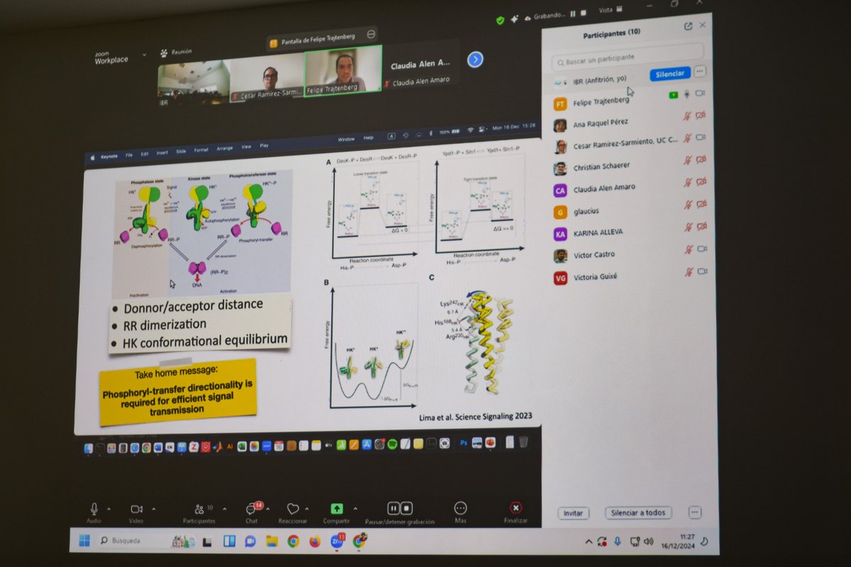 red_cebem's tweet photo. 🇺🇾Felipe Trajtenberg from @IPMontevideo shared insights about the scientific work they conduct at the Lab of Molecular and Structural Microbiology and the Integrative Bioimaging Hub.
#CEBEM #ImagingTheFuture https://t.co/OiC3HdOrgG