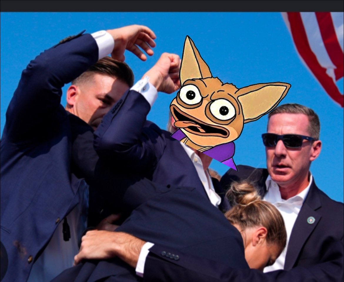 Landen16willy tweet media