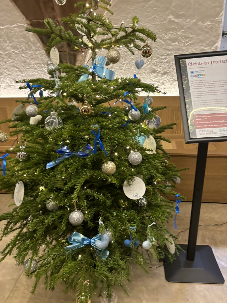rattycastle's tweet photo. @CarlisleCath  pls pls visit if you need some #Christmas cheer #Christmastree festival is wonderful #localcharitys @GNairambulance  @EVHandJigsaw etc 🎄🎄 #memorywall ❤️❤️ https://t.co/2fQsBgmuwb