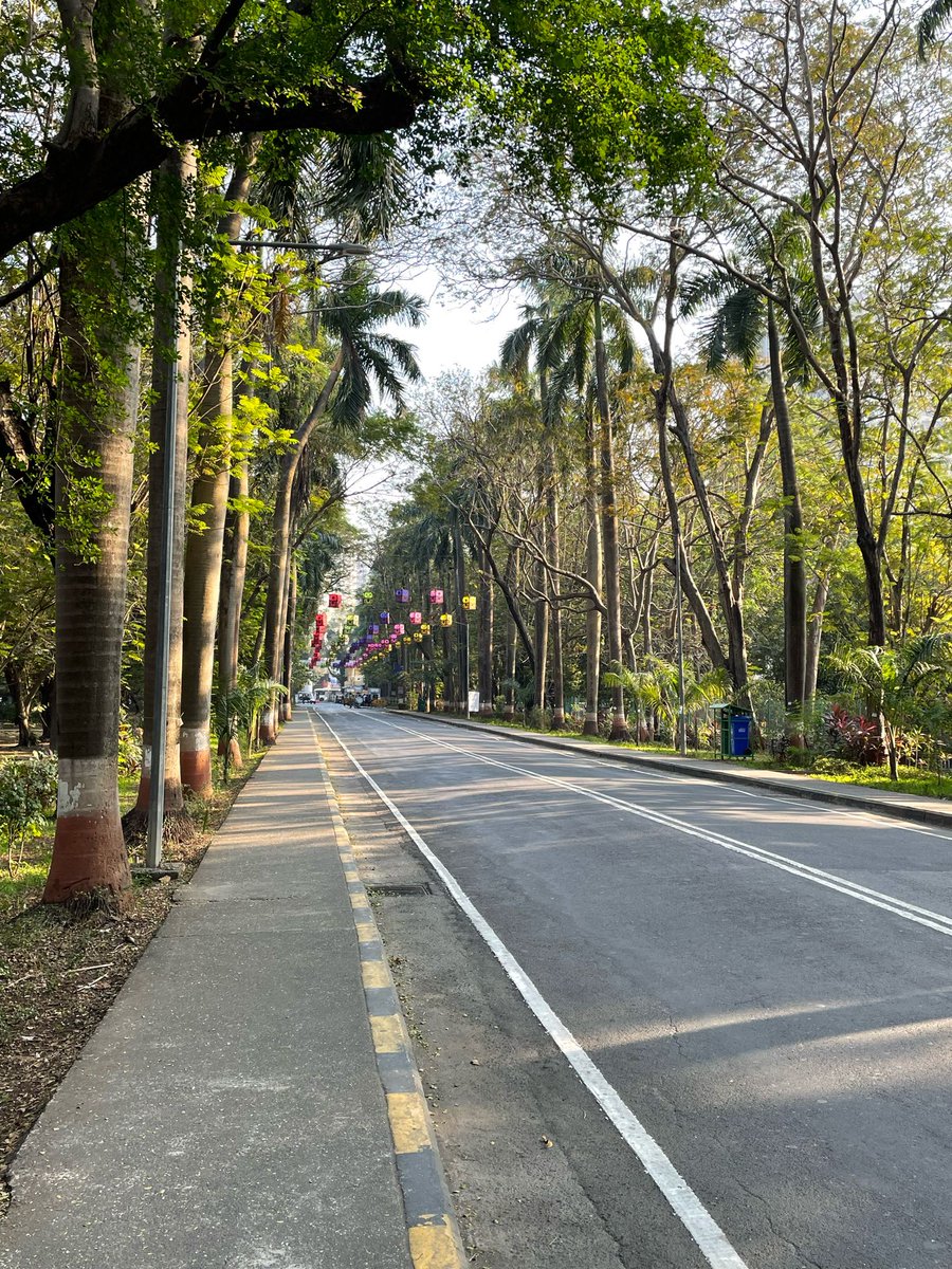 Amol Yadav (@amolpyadav) on Twitter photo Has a wonderful time presenting my research at <a href="/iitbombay/">IIT Bombay</a> <a href="/BsbeIitb/">Biosciences & Bioengineering, IIT Bombay</a> with generous hosts Prof <a href="/NivethidaT/">Nivethida T</a> & Ambarish Kunwar. Always feels special to come back to the institution where I did my undergrad thesis research and spend time with family in Mumbai - the maximum city! Has a wonderful time presenting my research at <a href="/iitbombay/">IIT Bombay</a> <a href="/BsbeIitb/">Biosciences & Bioengineering, IIT Bombay</a> with generous hosts Prof <a href="/NivethidaT/">Nivethida T</a> & Ambarish Kunwar. Always feels special to come back to the institution where I did my undergrad thesis research and spend time with family in Mumbai - the maximum city!