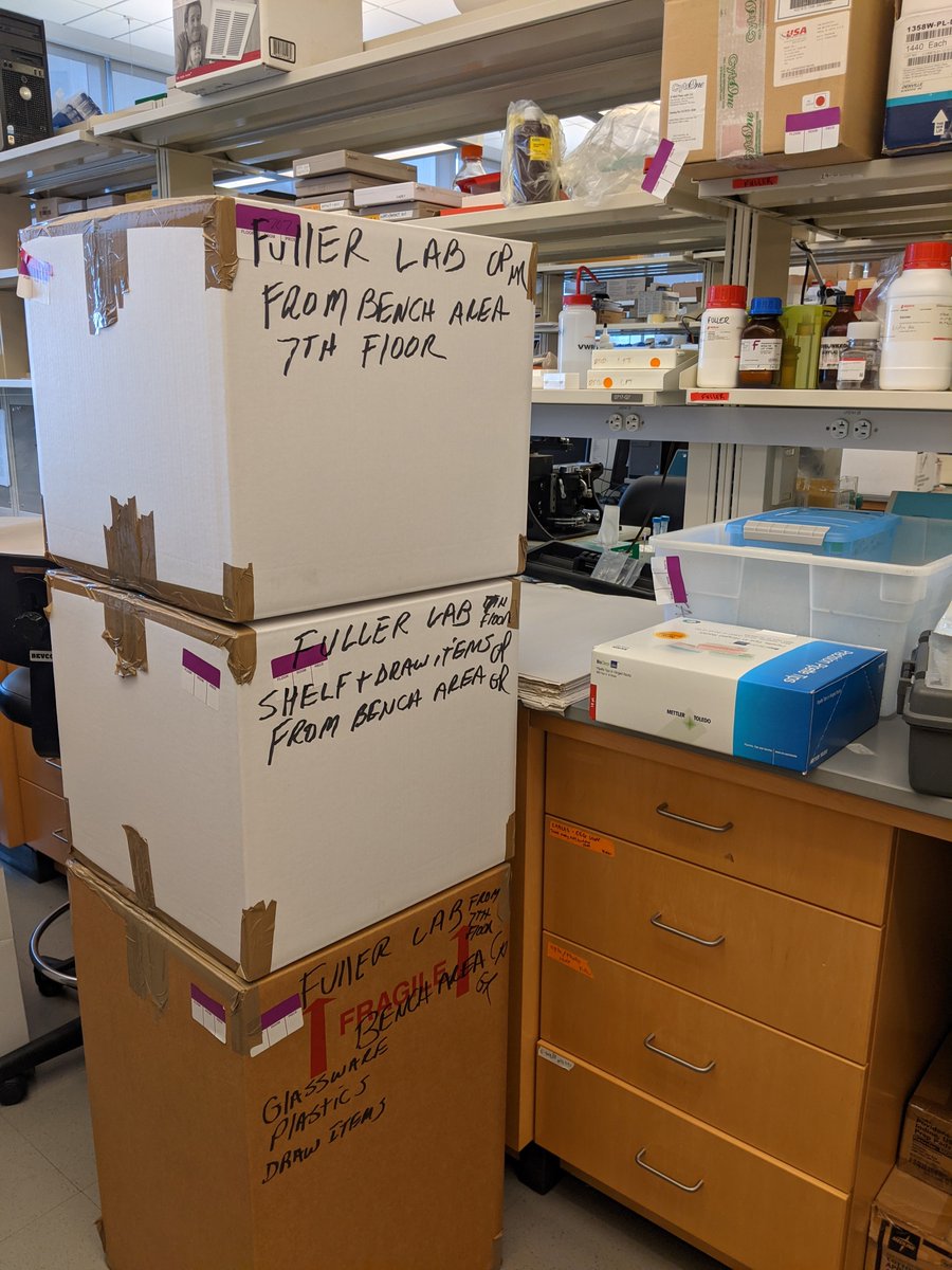 usamover's tweet image. Cross-Country Moves Made Simple Moving a research lab across the country? No problem for BTI. From Boston to California, we delivered seamless results for Dr. Fuller's lab. Ready to move your lab? Let’s talk! #LabRelocation #MovingExperts #BTIMovers labmovers.com/a-lab-move-bti…