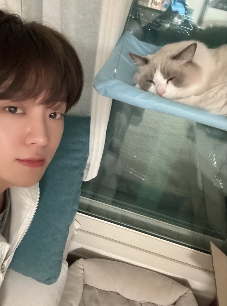 고양이진짜졸귀｡