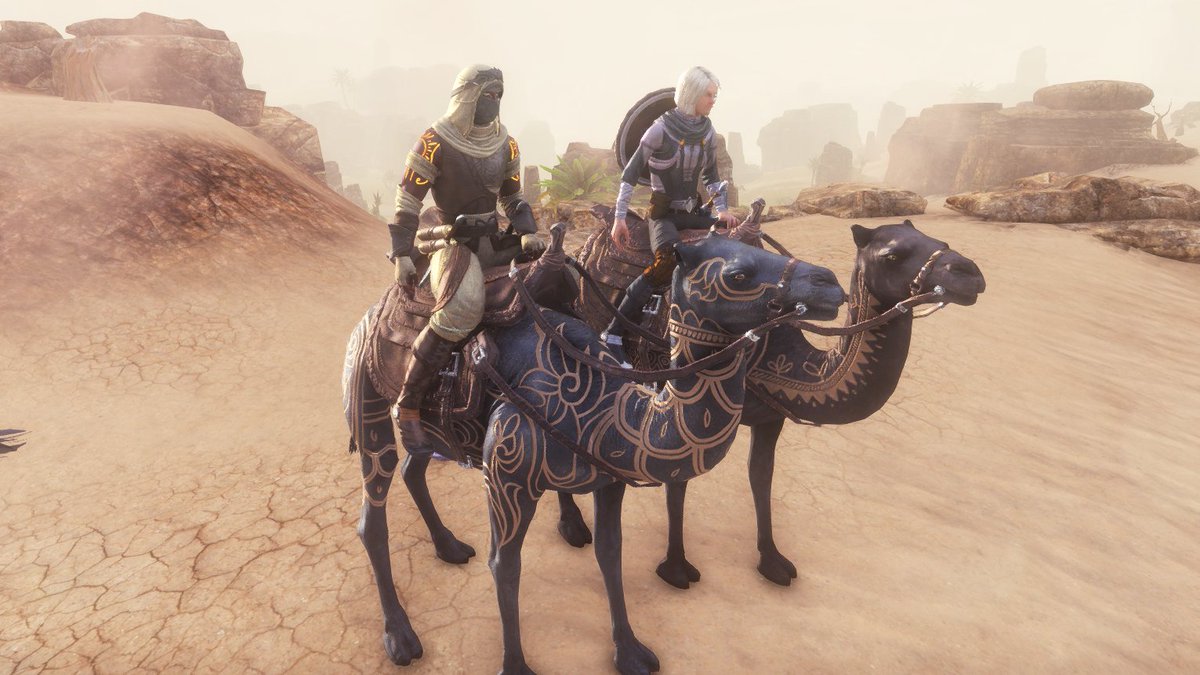 アリクルでの移動はやっぱりラクダが良い