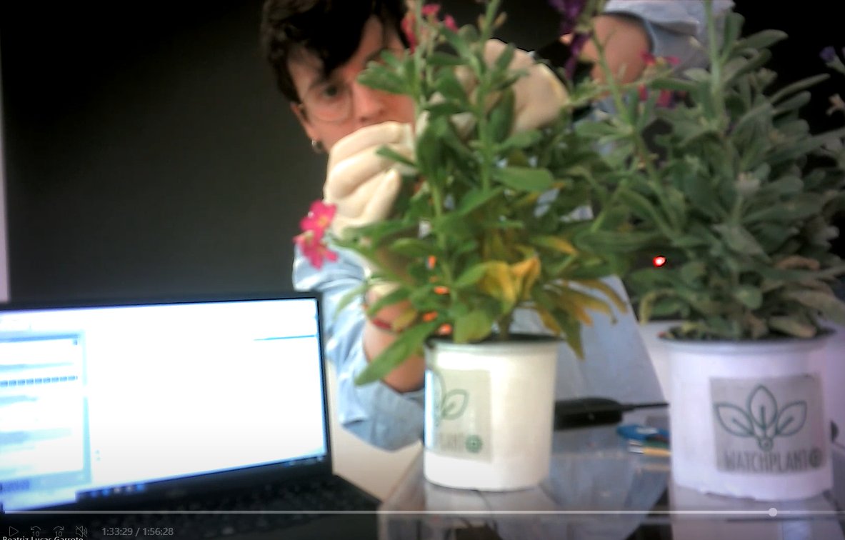 WatchPlant EU Project tweet media