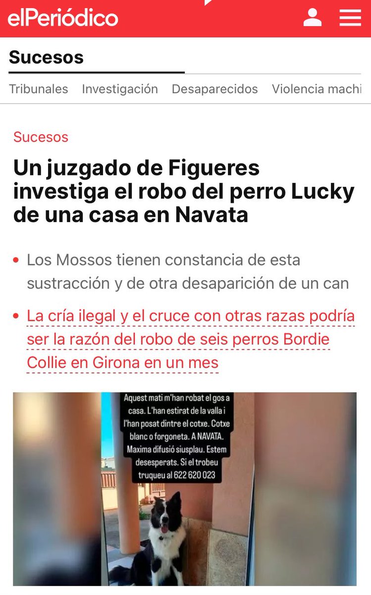 LexAnima's tweet image. 📣 Hem aconseguit que el cas dels Border Collies robats arribi al jutjat ⚖️
👩🏼‍⚖️Ens personarem com a acusació popular
🐶 Per en Lucky, en Kollie i les famílies que pateixen la desaparició d’un ésser estimat
👨🏻‍🎓👩🏻‍💻Gràcies a Fiscalia i a tothom que està col·laborant
❌PROU impunitat ‼️