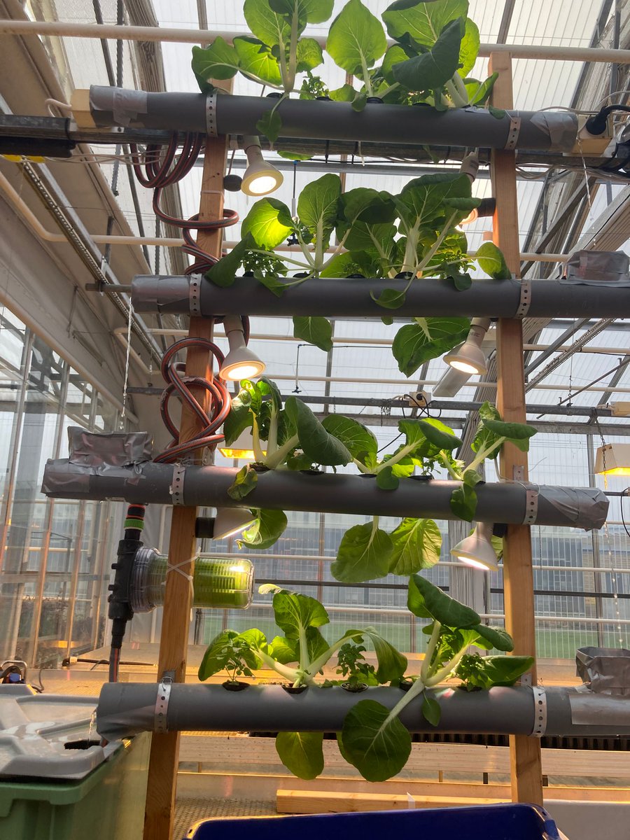 Fraisoro Eskola tweet media