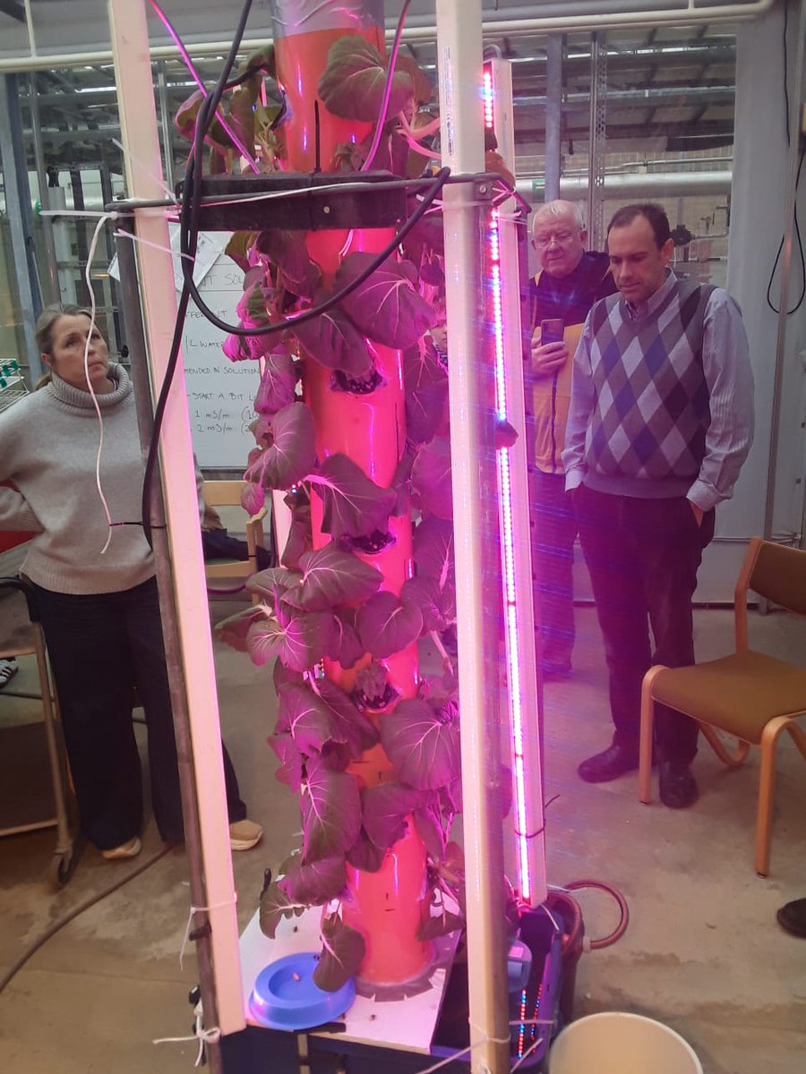 Hidroponiako proiektu europarra martxan jarri dugu Suedian egin ditugun billeretan <a href="/NTIgymnasiet/">NTI Gymnasiet Sverige</a> @RoskildeTekniskeSkole (Roskilde Technical College) @Yuverta ikastetxeekin batera. Lund-eko unibertsitateko Hidroponia saila ere ezagutzeko aukera izan dugu.