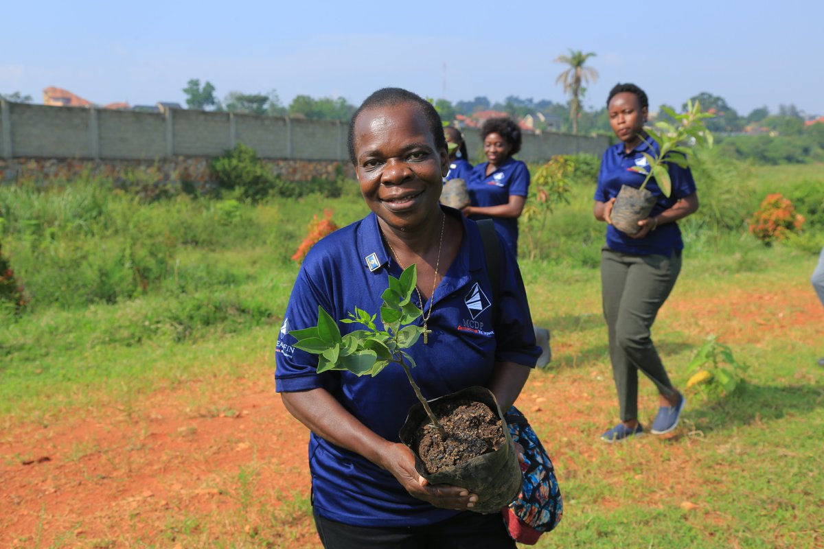 Steadfin's tweet photo. 🌳 At the SteadFin Hillview Estate - Sonde, members &amp; staff planted over 100 fruit trees, fostering cleaner air, a healthier ecosystem, and a greener community. 🍃
🌍 Small actions = Big impact. Let’s recycle, conserve resources, &amp; support sustainability. Together, we thrive! https://t.co/LVnjCH5vAK