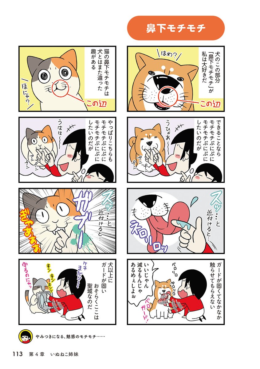 猫と犬との暮らし(1/5) 